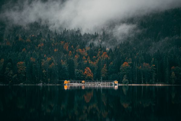 Seasons changing