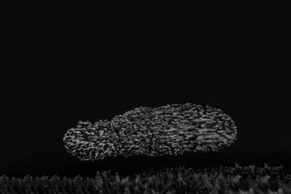 The shape of night