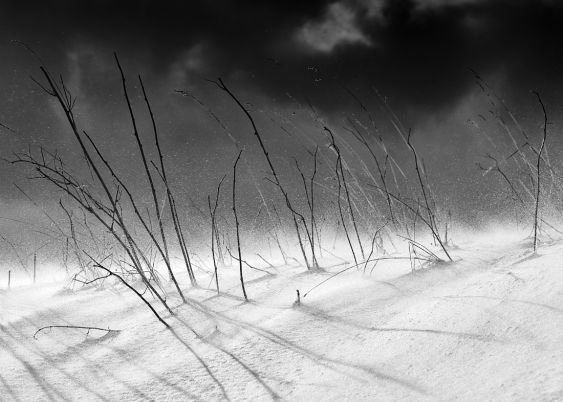 blizzard