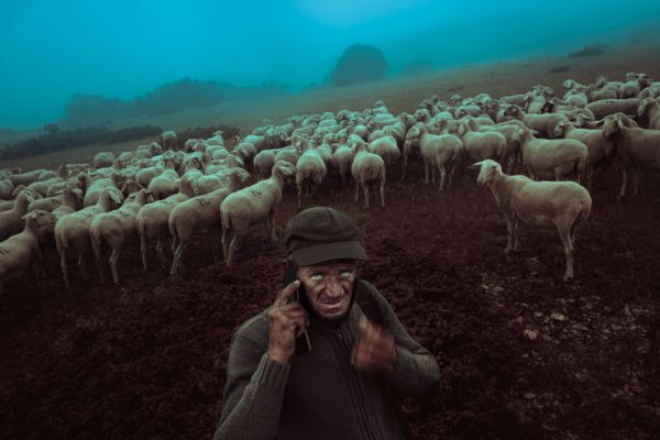 The loneliness of the mountain's shepherd.
