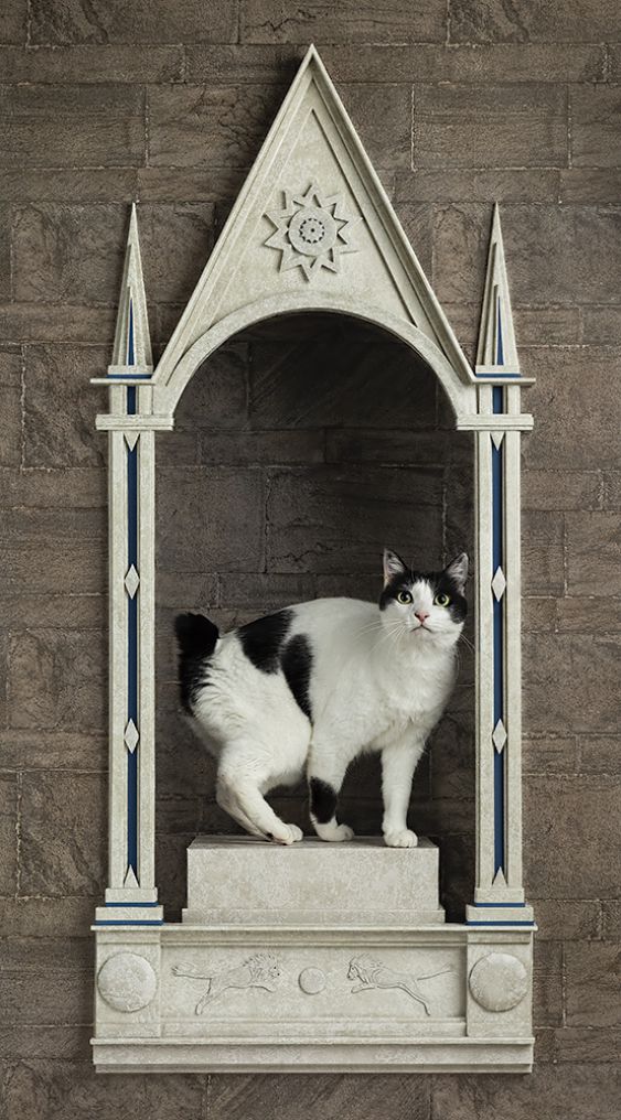Architecture of Italy with a cat