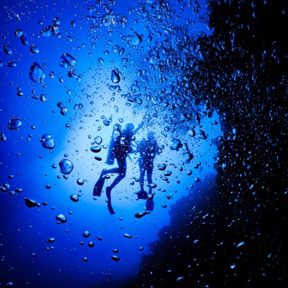 Underwater love
