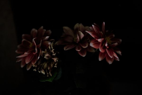 Strange place, the Night