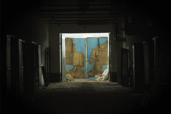 Modernist Observations in No Man's Land