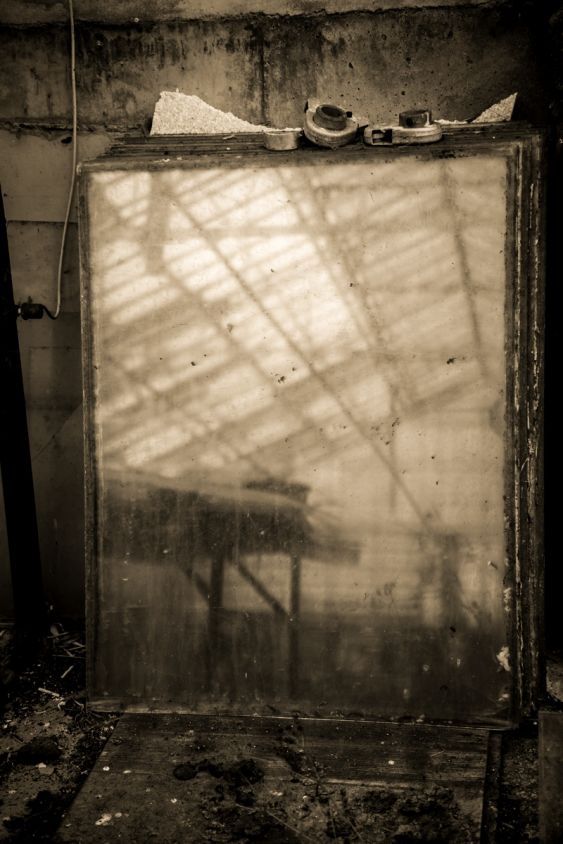 A greenhouse mystery