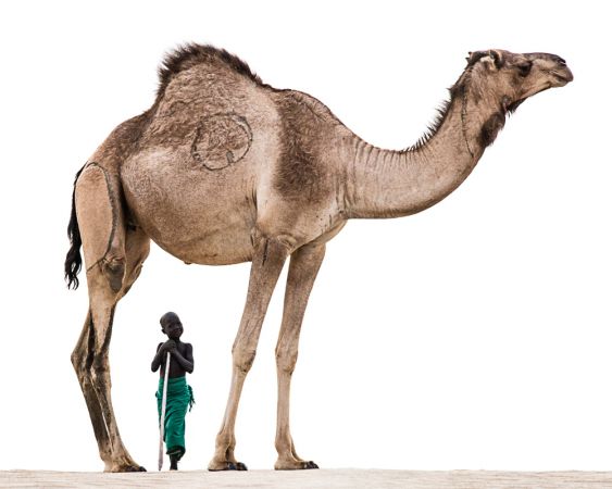The Boy and His Camel