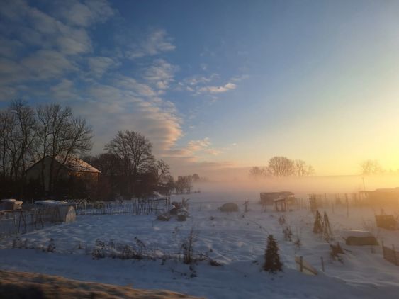 Warm winter