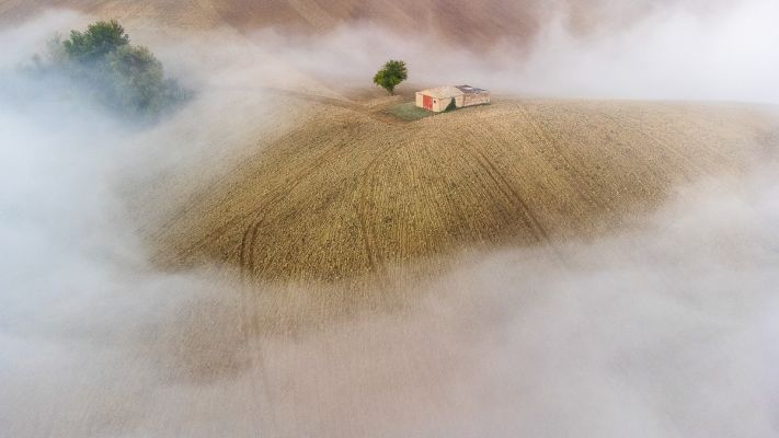 Inside a fairy tale