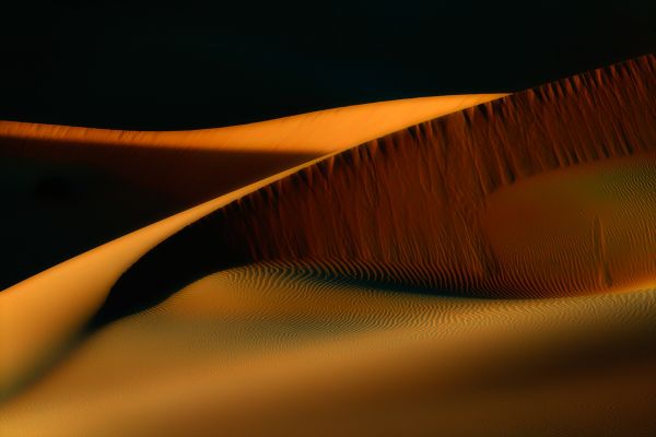 Desert Dreams