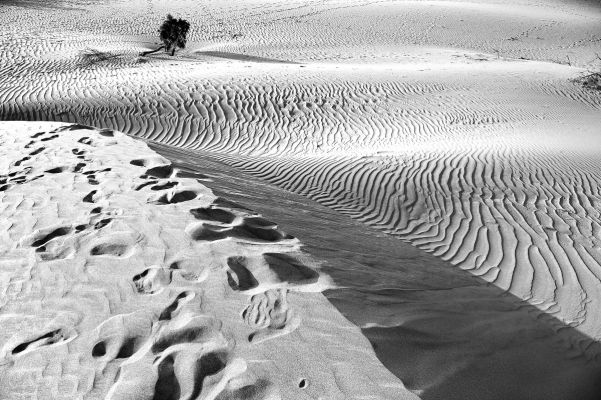 Dunes