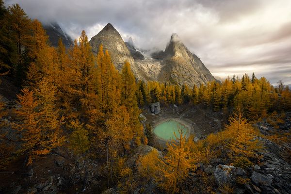 Wild Alps