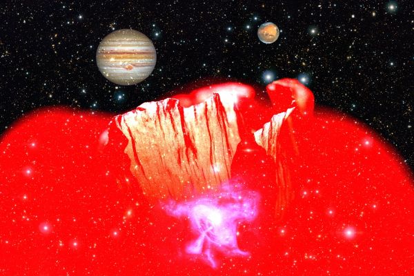 Red Poppies Planet I