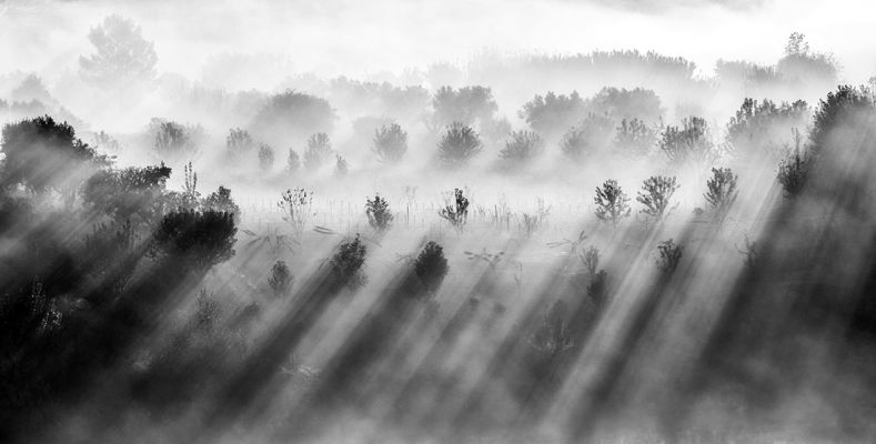 Light Rays