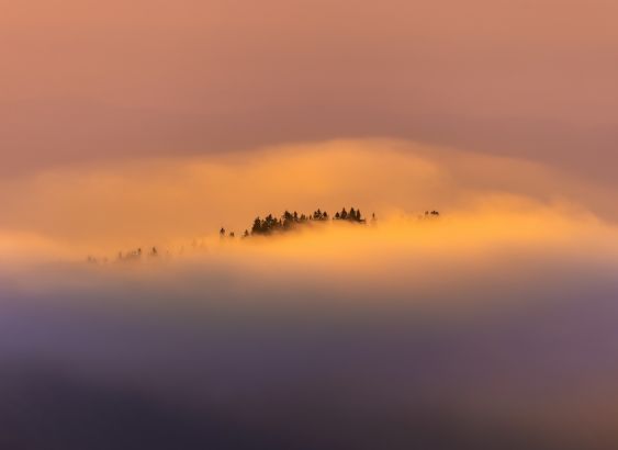 The Imaginary Land